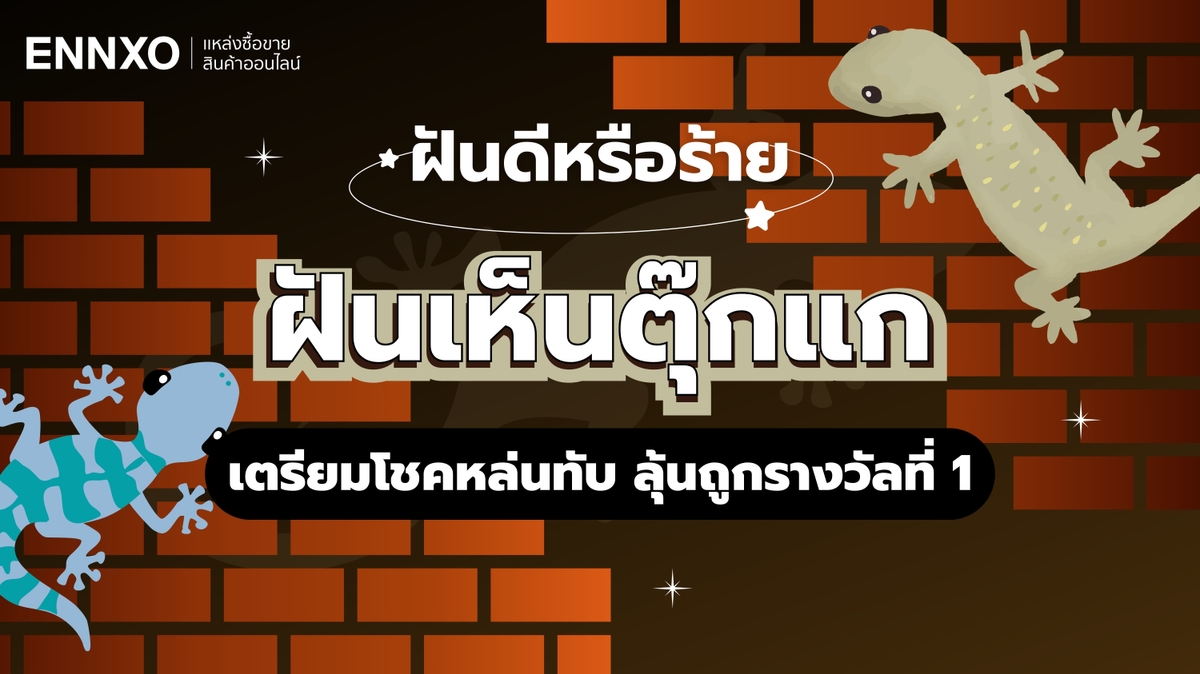 ฝันเห็นตุ๊กแก หมายถึงอะไร เลขเด็ดตุ๊กแกตัวใหญ่ ลุ้นถูกรางวัลที่ 1