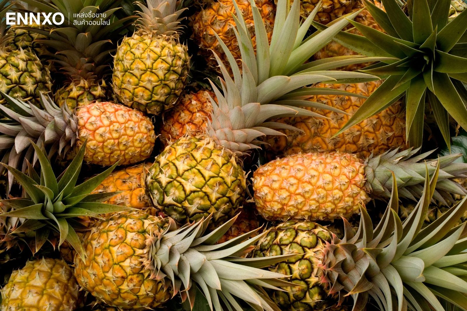 ผลไม้มงคลไหว้แม่ย่านางรถ