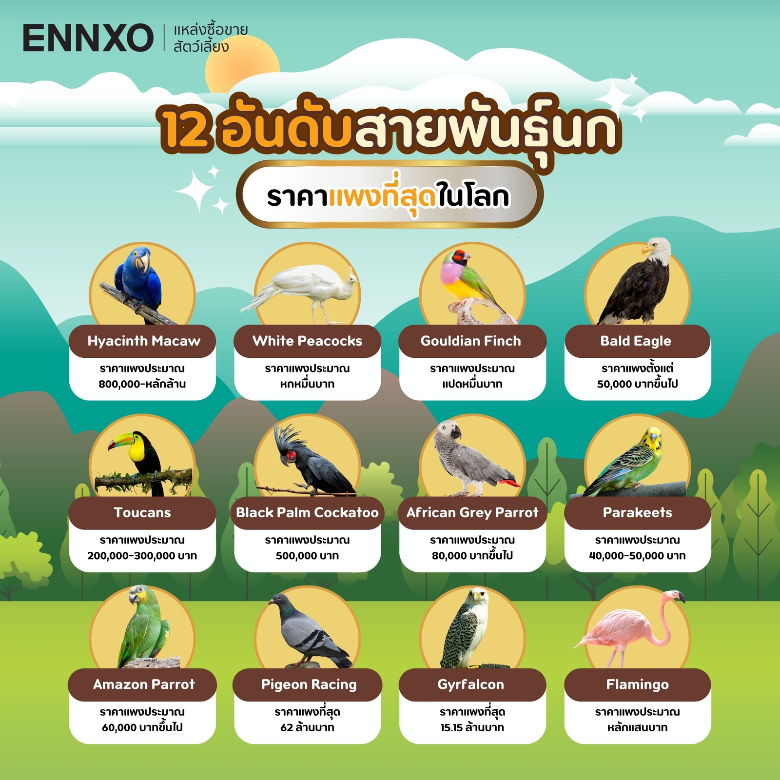 12 อันดับนกที่แพงที่สุดในโลก