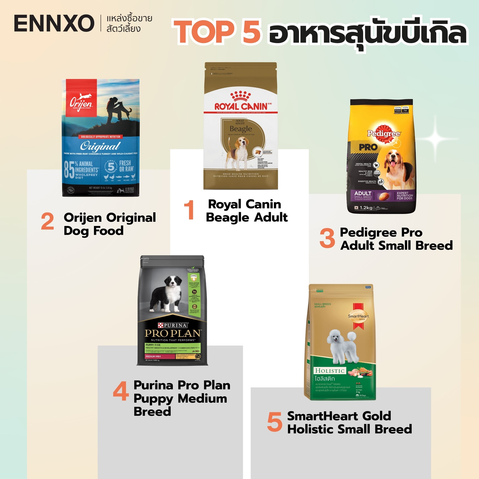 Top 5 อาหารสุนัขบีเกิ้ลยอดนิยม
