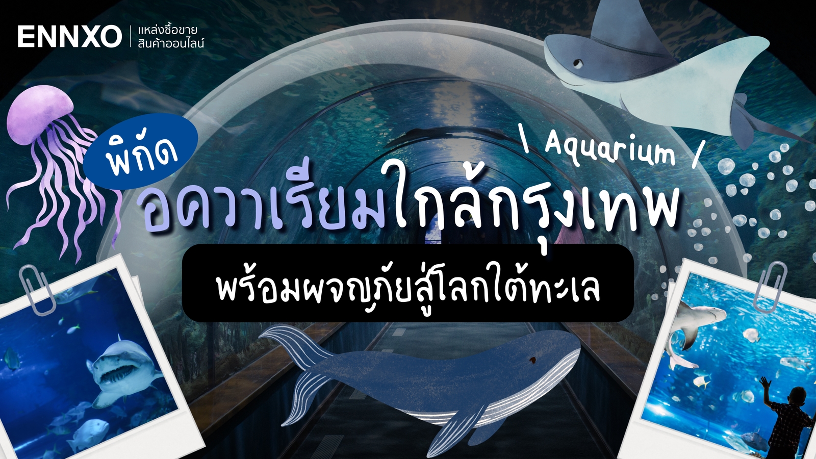 พิกัดพิพิธภัณฑ์สัตว์น้ำใกล้กรุงเทพ พร้อมวิธีเดินทาง สนุกกันถ้วนหน้า