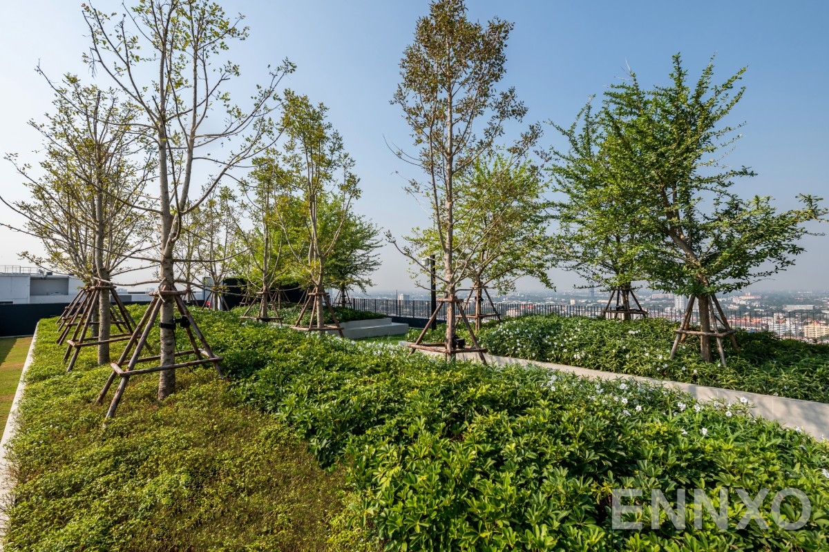 รูปของโครงการ ASPIRE Rattanathibet-Weston
(แอสปาย รัตนาธิเบศร์-เวสต์ตัน) อื่นๆ - รูปที่ 7