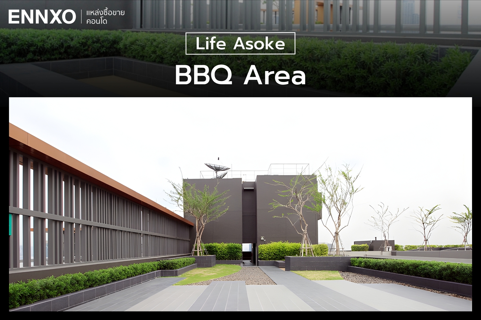 โซนพักผ่อนของ Life Asoke