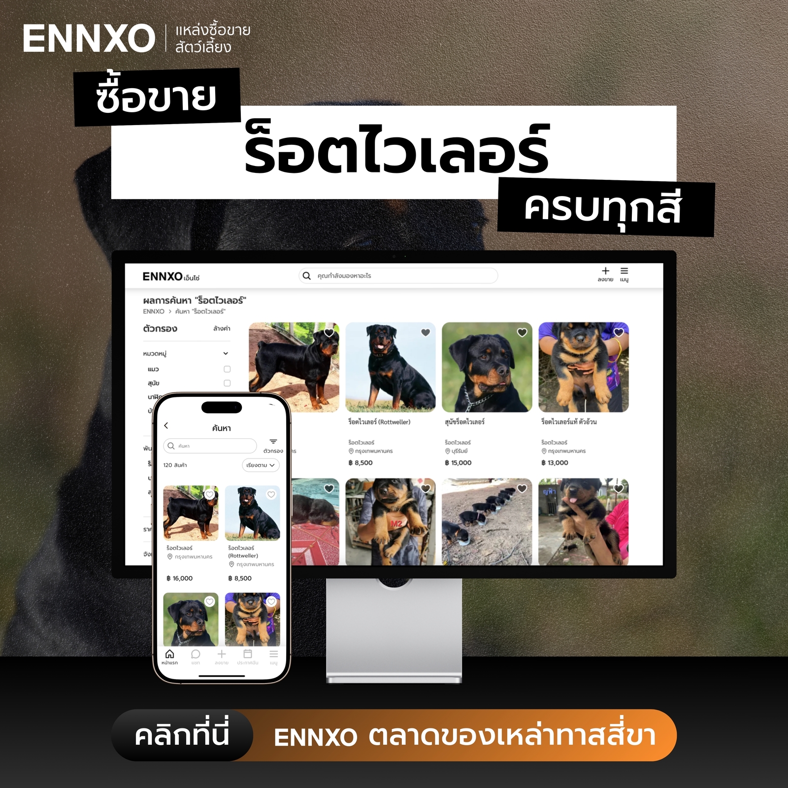 ซื้อขายสุนัขร็อตไวเลอร์ ราคาดีที่ ENNXO