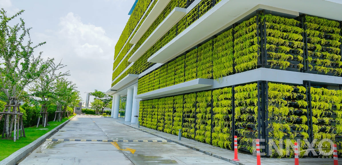 รูปของโครงการ คาซาลูน่า เมสโต อื่นๆ - รูปที่ 5