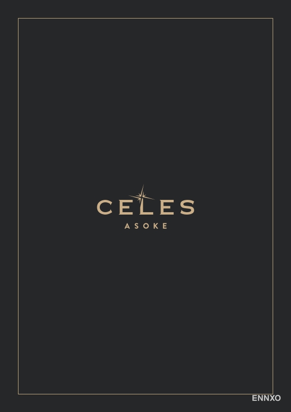 รูป โบรชัวร์ ของ โครงการ Celes Asoke หน้า 1