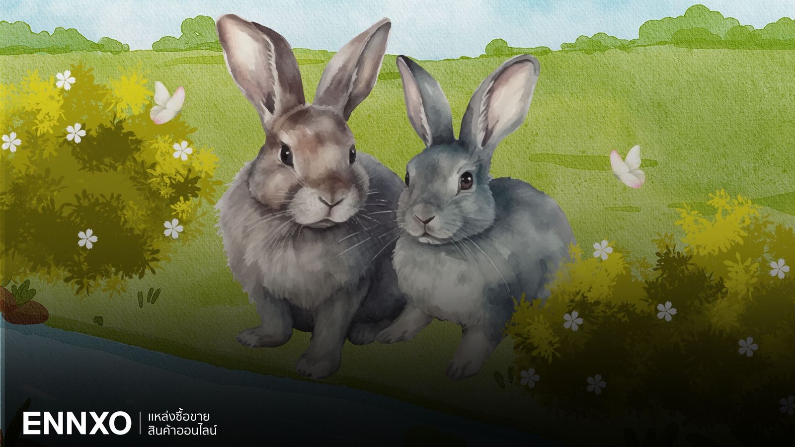 ฝันเห็นกระต่าย สื่อถึงอะไร ดีหรือไม่ อ่านคำทำนาย ตีเลขเด็ด