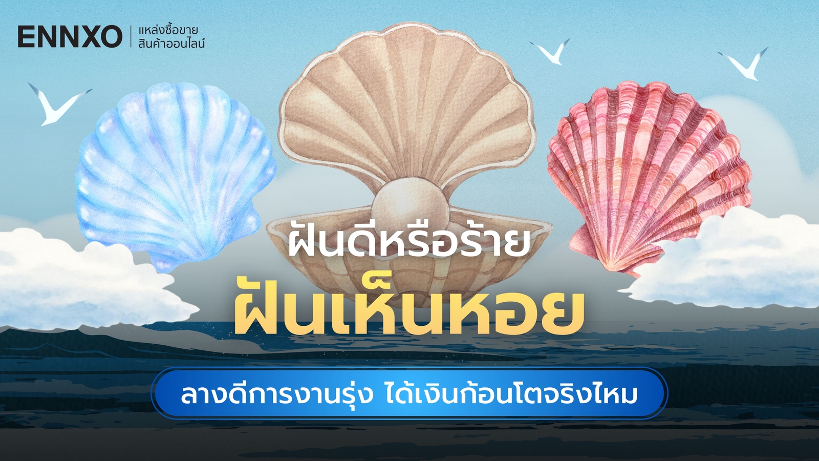 ทำนายฝันเห็นหอยเยอะมาก ตีเป็นเลขเด็ดอะไรได้บ้าง 