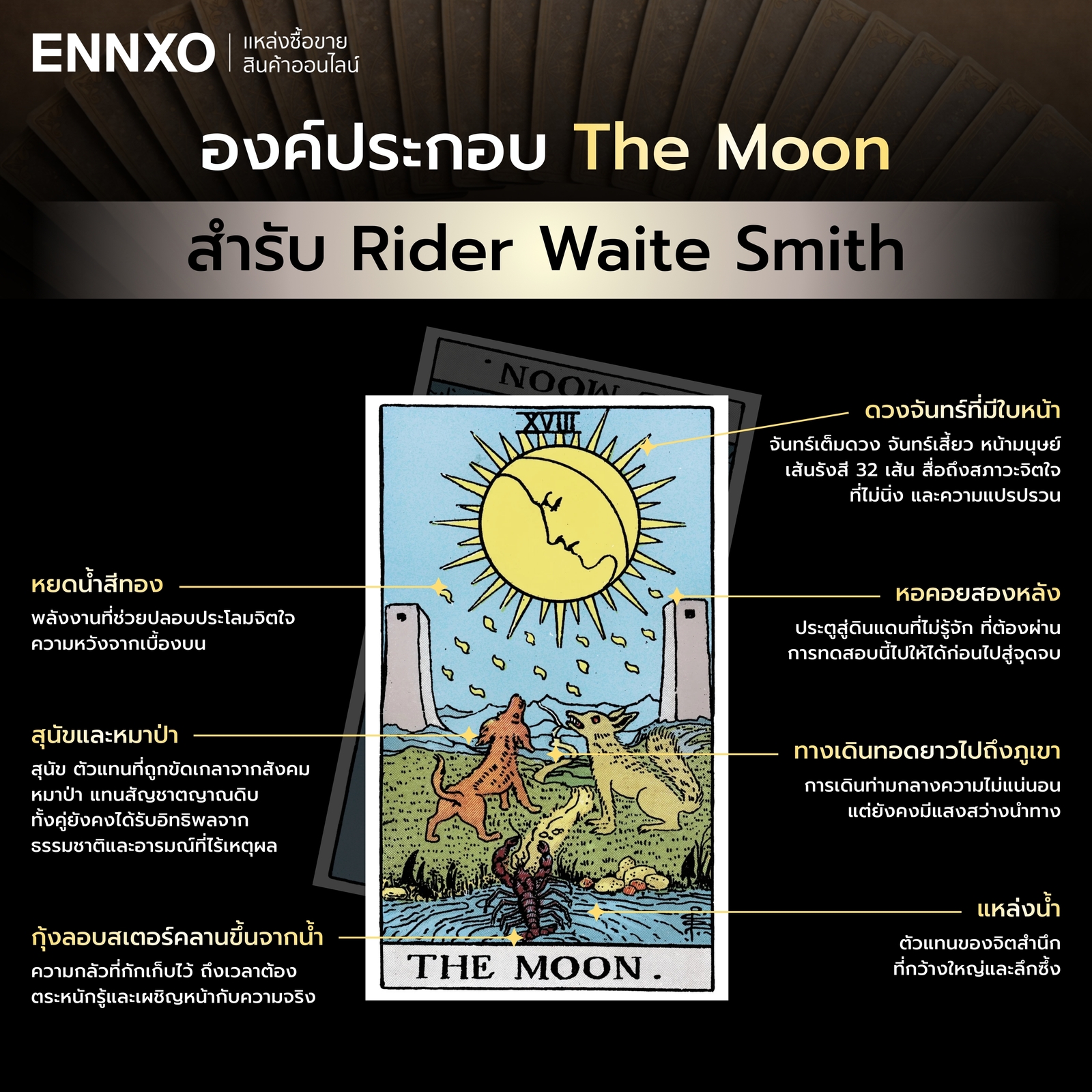 ความหมายขององค์ประกอบไพ่ The Moon