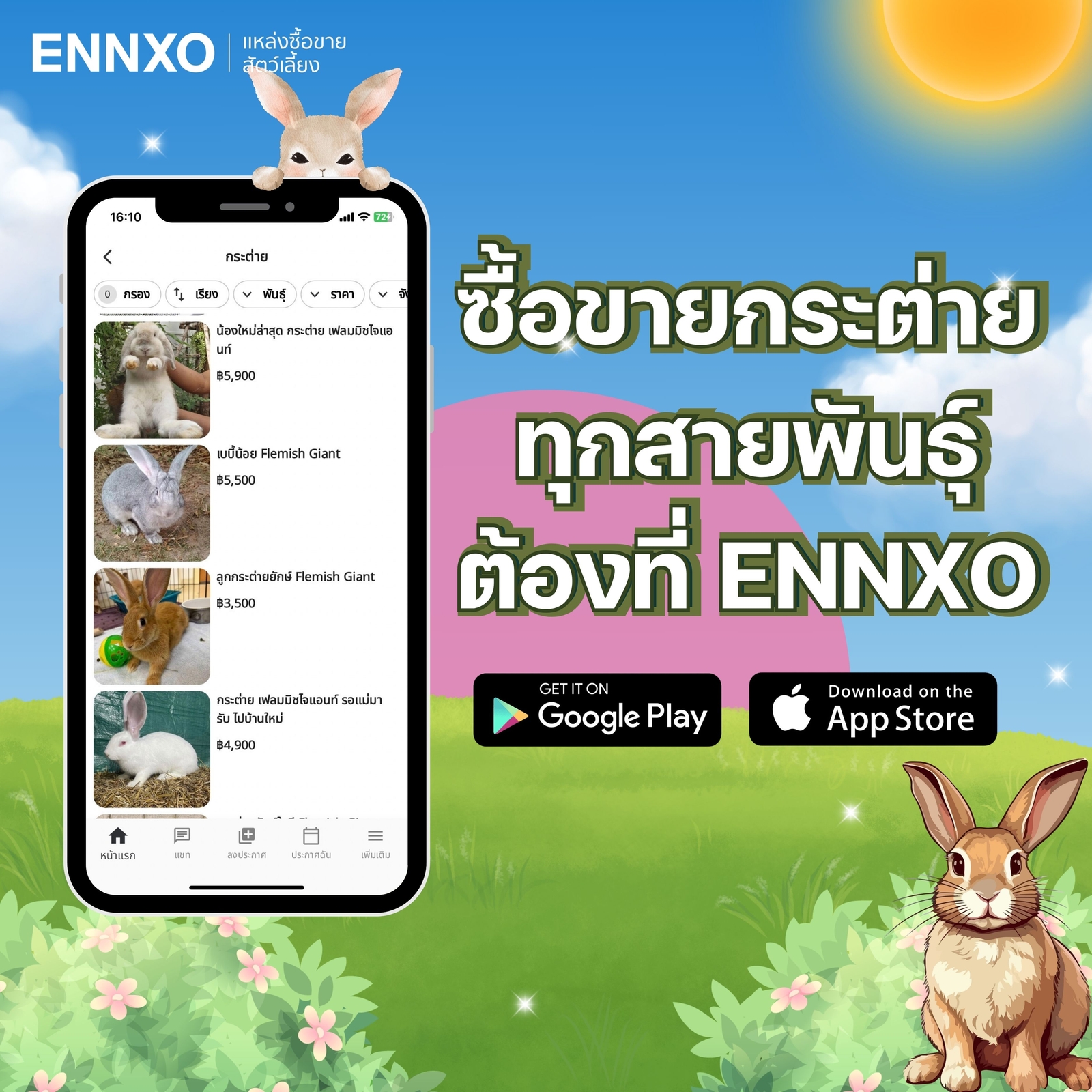 ENNXO ตลาดซื้อขายกระต่ายออนไลน์ในไทย