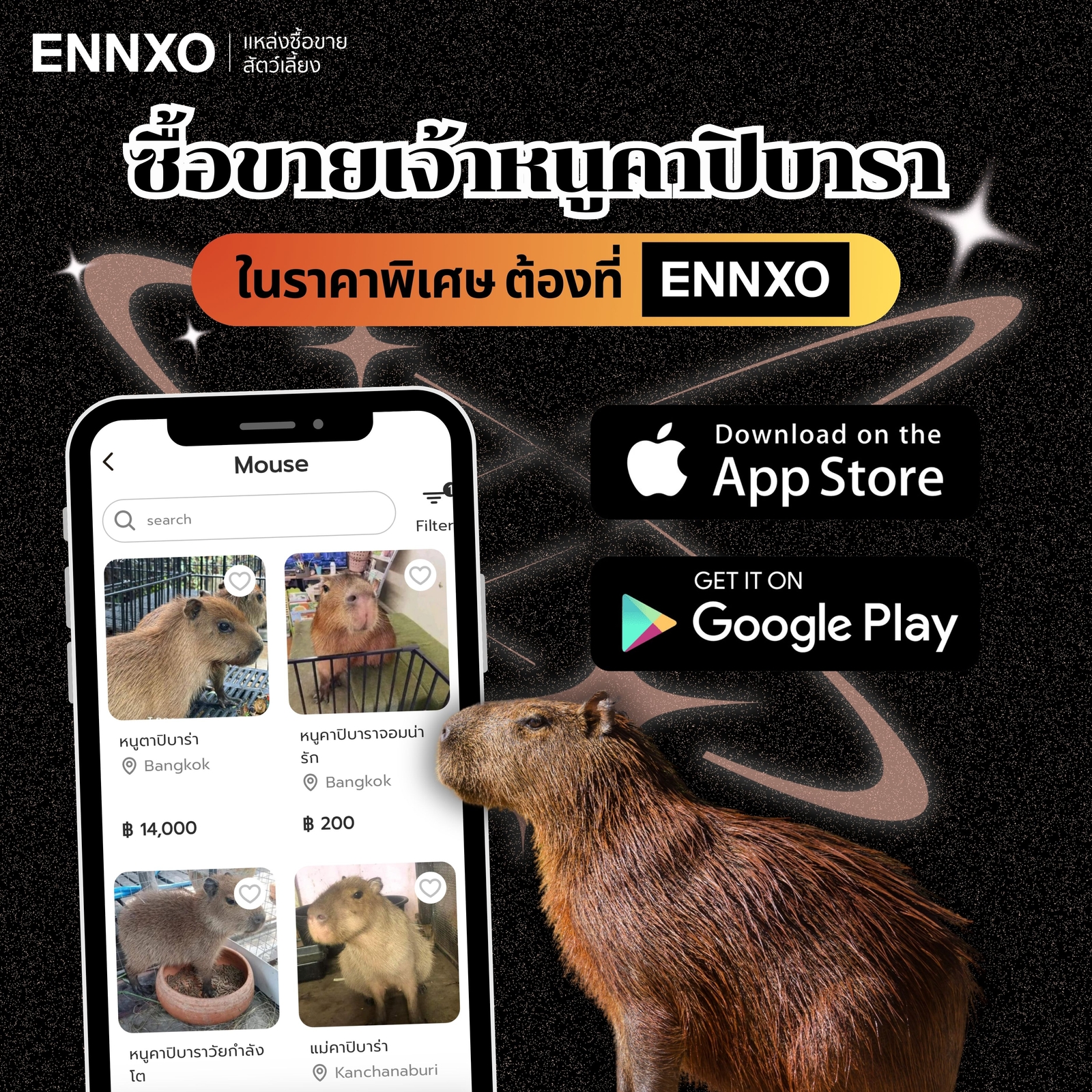 ENNXO ตลาดซื้อขายคาปิบาร่า ออนไลน์