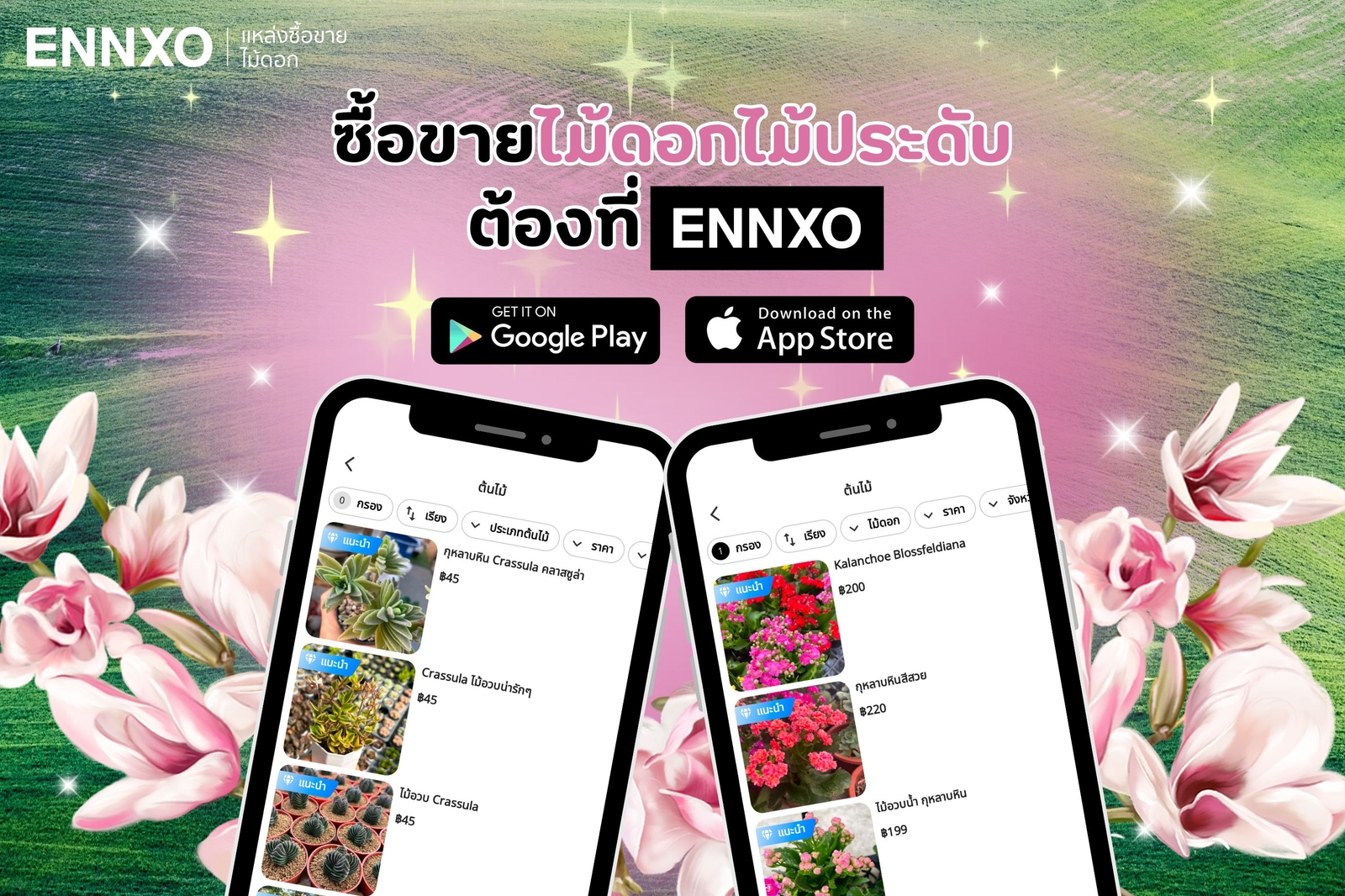 ENNXO ตลาดซื้อขายต้นไม้ ไม้ดอก ออนไลน์