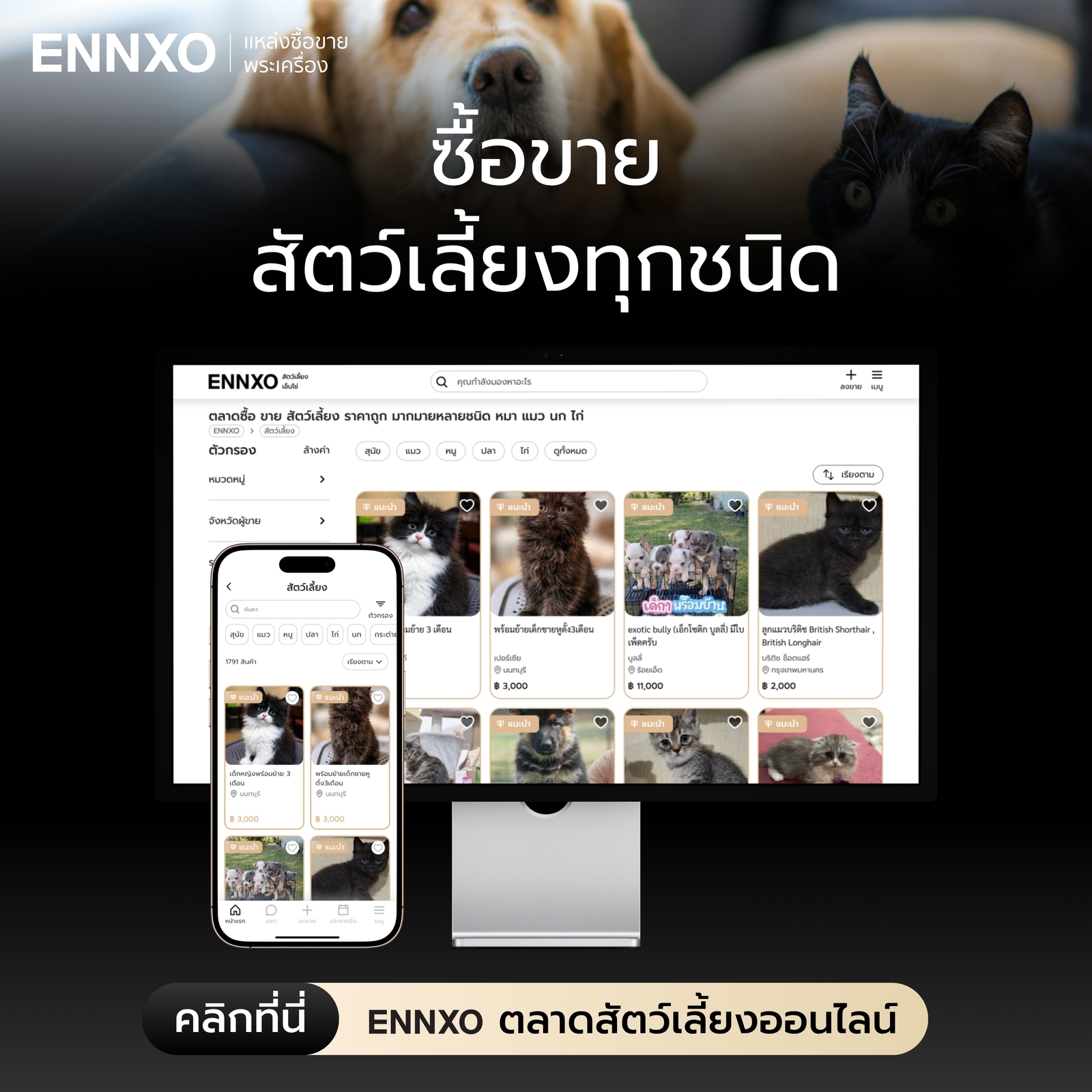 ตลาดซื้อขายสัตว์เลี้ยงออนไลน์ทุกชนิดที่ ENNXO