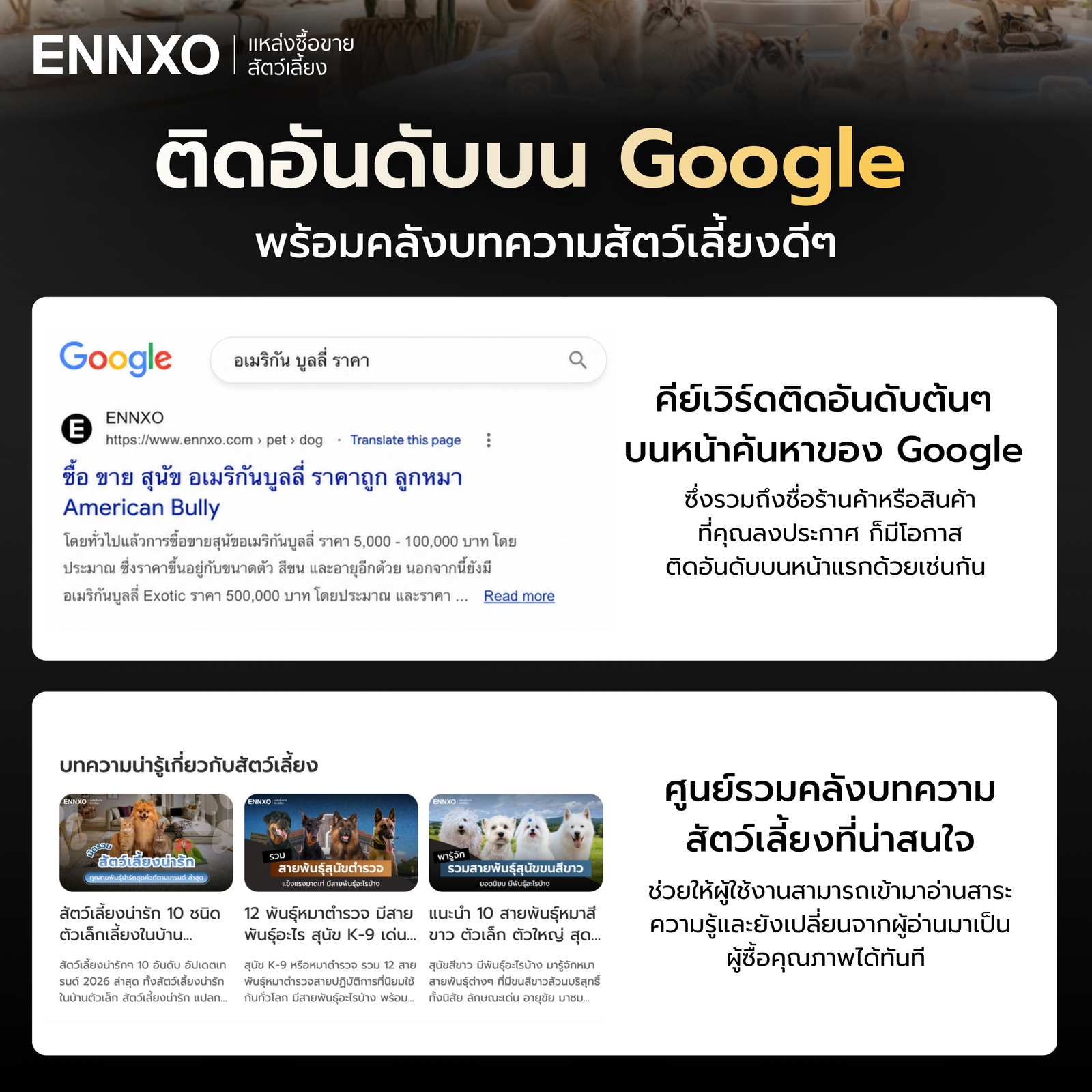 ตลาดสัตว์เลี้ยง ENNXO ทำการตลาดคีย์เวิร์ดติด Google พร้อมบทความดีๆ