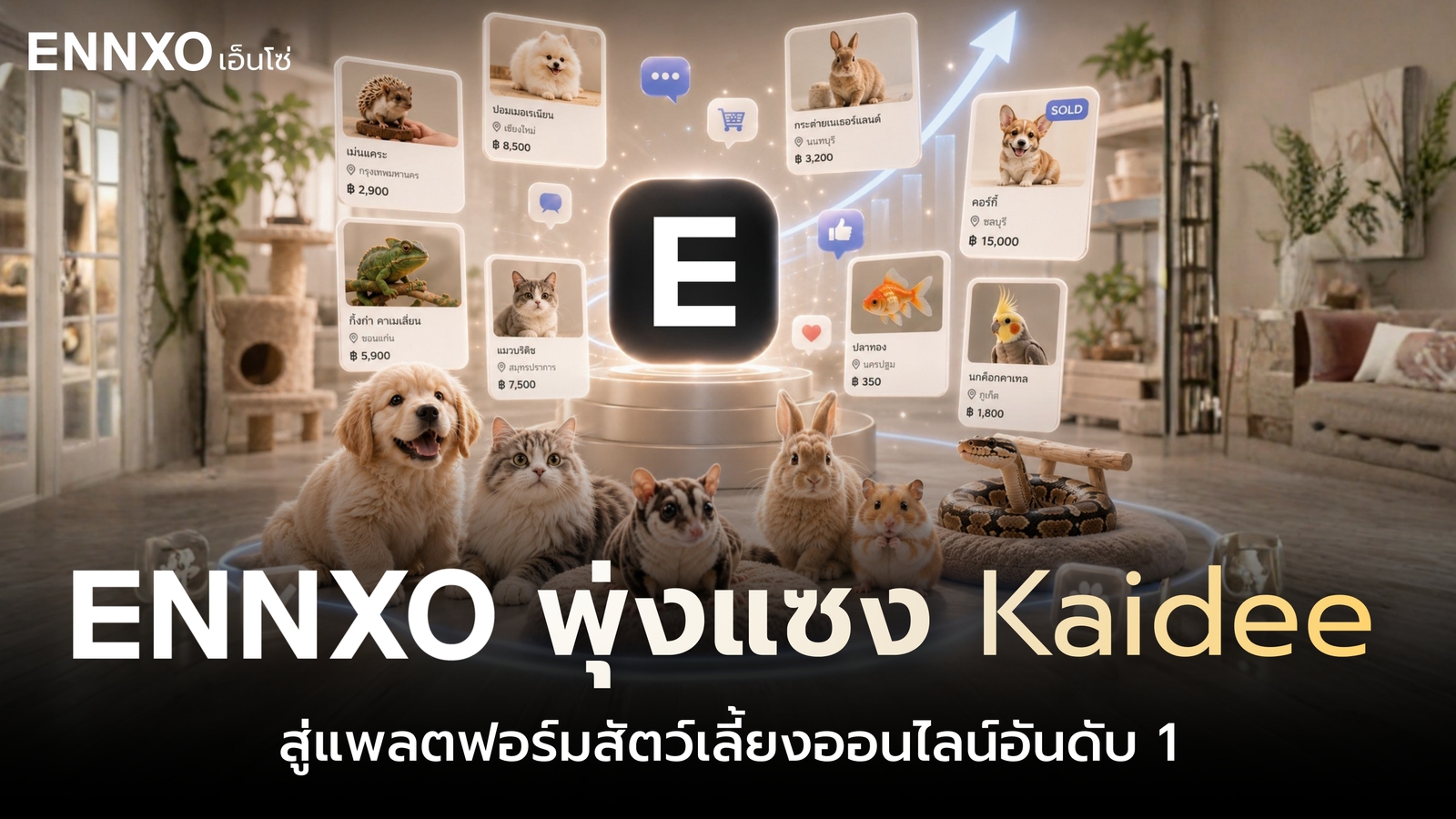 เปิดสถิติ! ทำไมตลาดสัตว์เลี้ยง ENNXO พุ่งแซง Kaidee