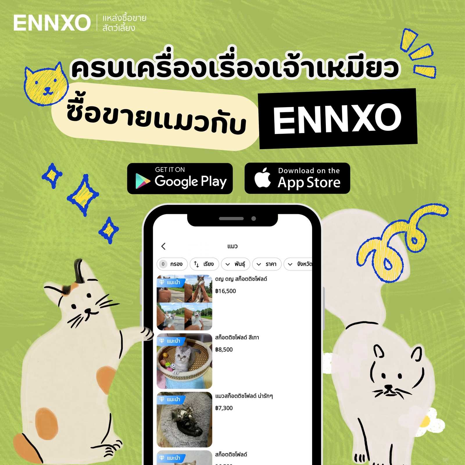 ENNXO ตลาดซื้อขายแมวออนไลน์