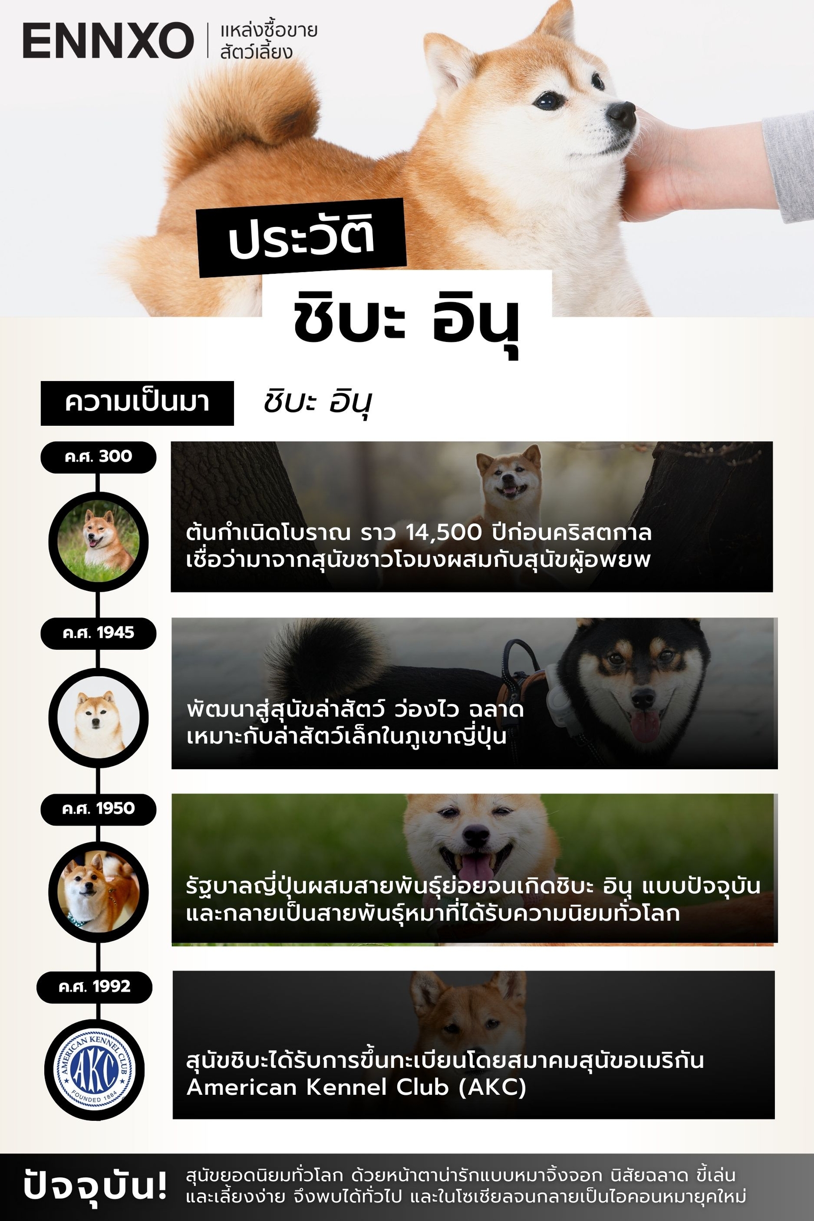 ประวัติ ชิบะ อินุ