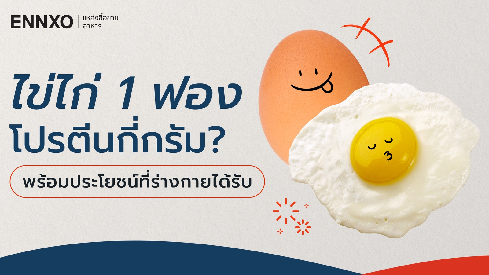 ไข่ไก่ 1 ฟอง มีโปรตีน กี่กรัม? สรุปครบทุกเบอร์ พร้อมประโยชน์