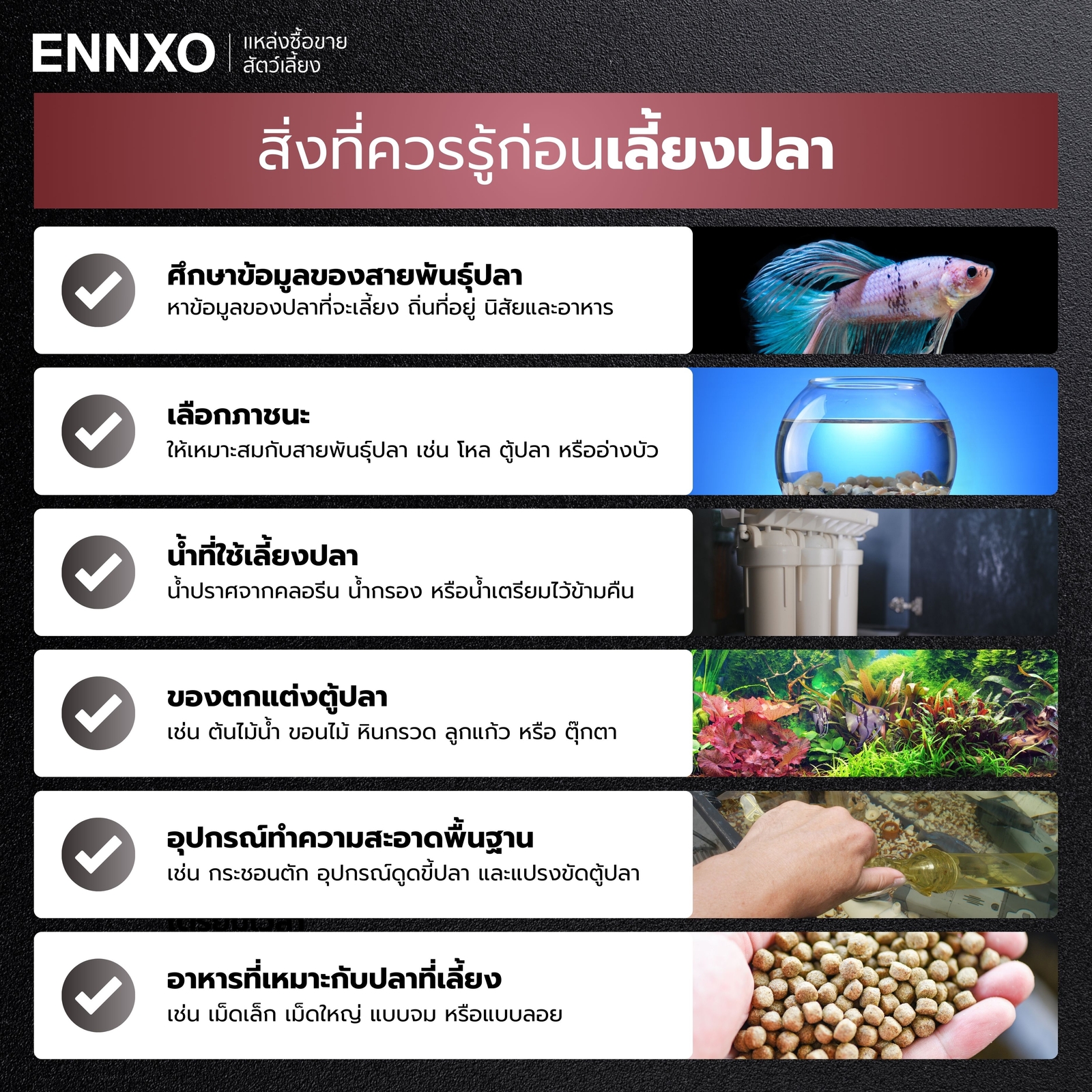 สิ่งที่ควรรู้ก่อนเลี้ยงปลาสวยงาม ไม่ใช้ออกซิเจน