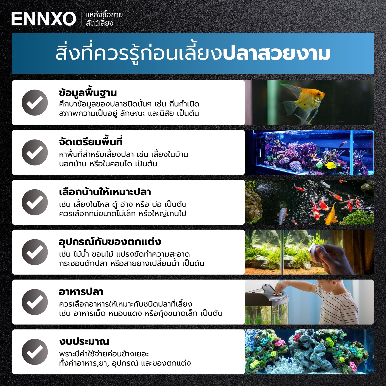 สิ่งที่ควรรู้ก่อนเลี้ยงปลาสวยงาม