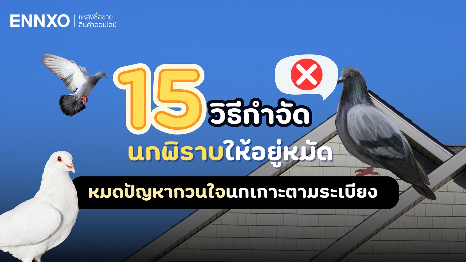 15 วิธีไล่นกพิราบถาวร ลดปัญหานกพิราบทำรังบนระเบียงและหลังคาบ้าน