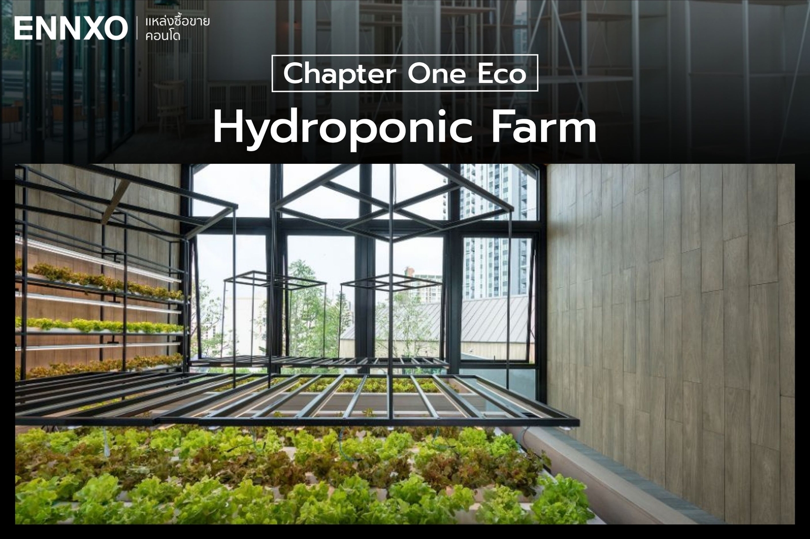Hydroponic Farm คอนโด Chapter One Eco รัชดา ห้วยขวาง