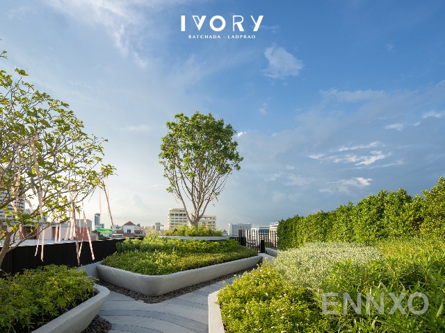 รูปของโครงการ IVORY Ratchada 32 อื่นๆ - รูปที่ 4