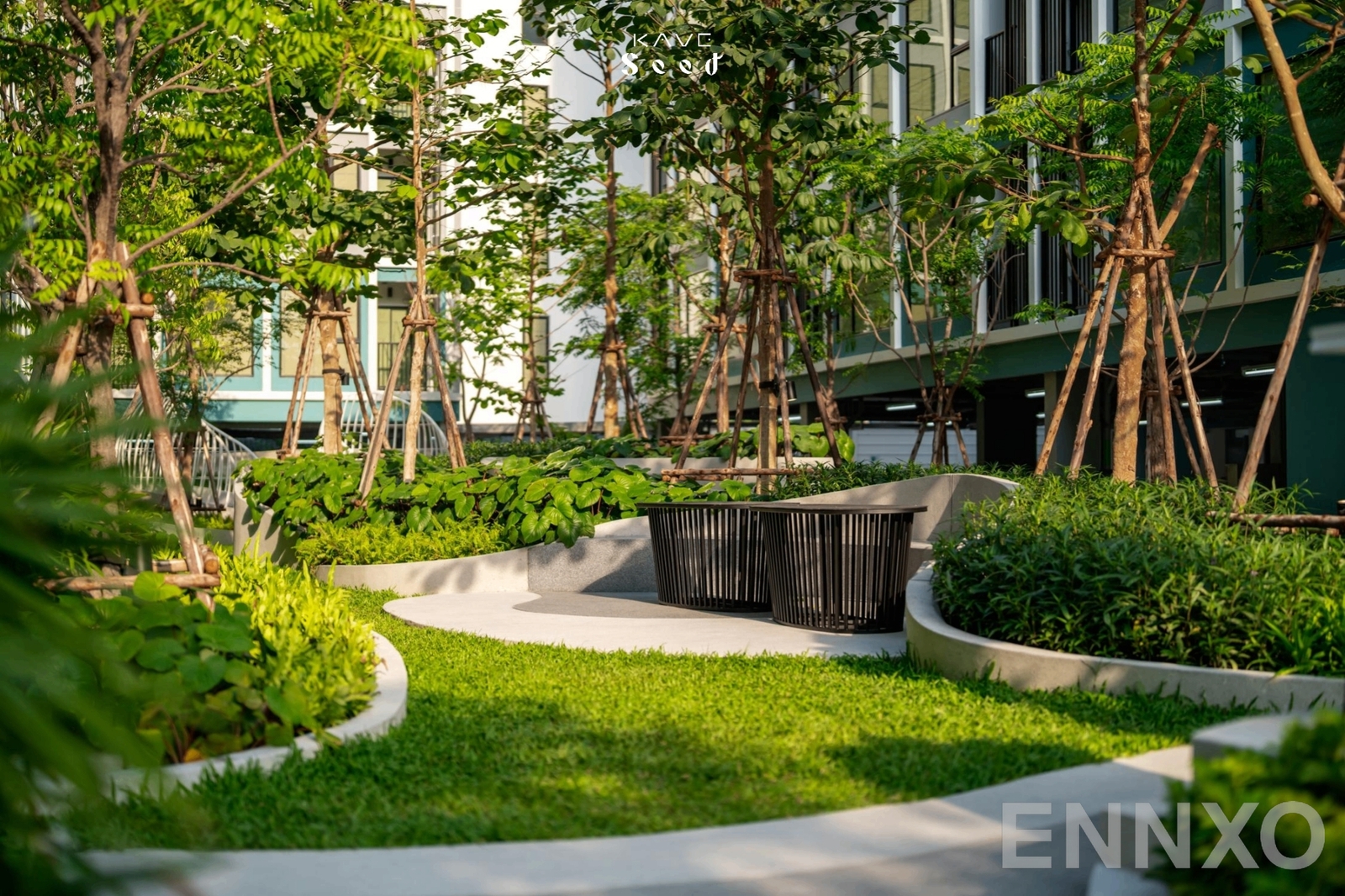 รูปของโครงการ Kave Seed Kaset อื่นๆ - รูปที่ 4