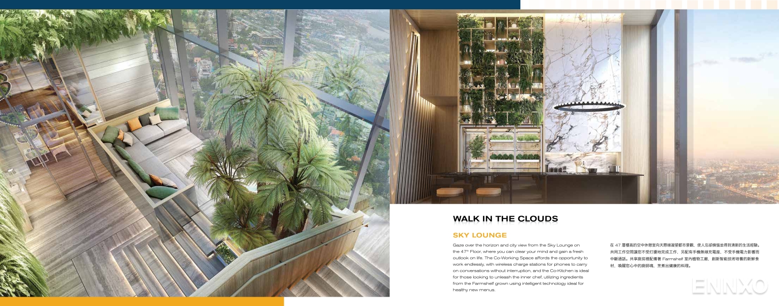 รูป โบรชัวร์ ของ โครงการ โอกะ เฮาส์ สุขุมวิท 36 หน้า 10