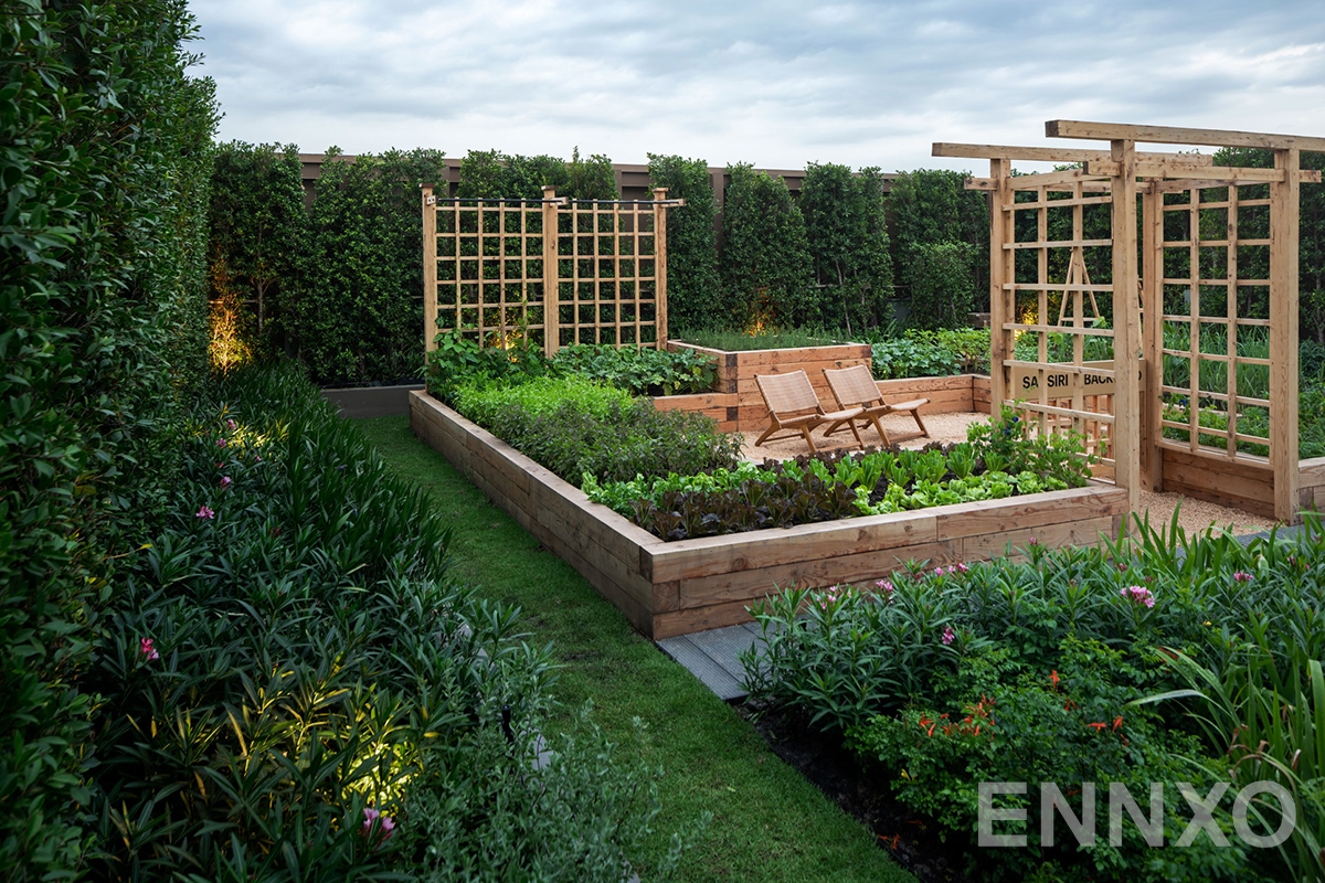 รูปสวนผัก (sansiri backyard) ของ โอกะ เฮาส์ สุขุมวิท 36