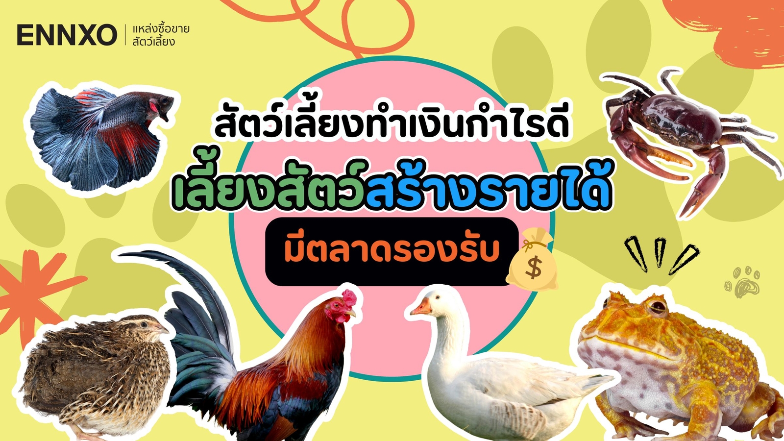 สัตว์เลี้ยงทำเงินมีตลาดรองรับ สัตว์เศรษฐกิจ 10 ชนิดสร้างรายได้ดี