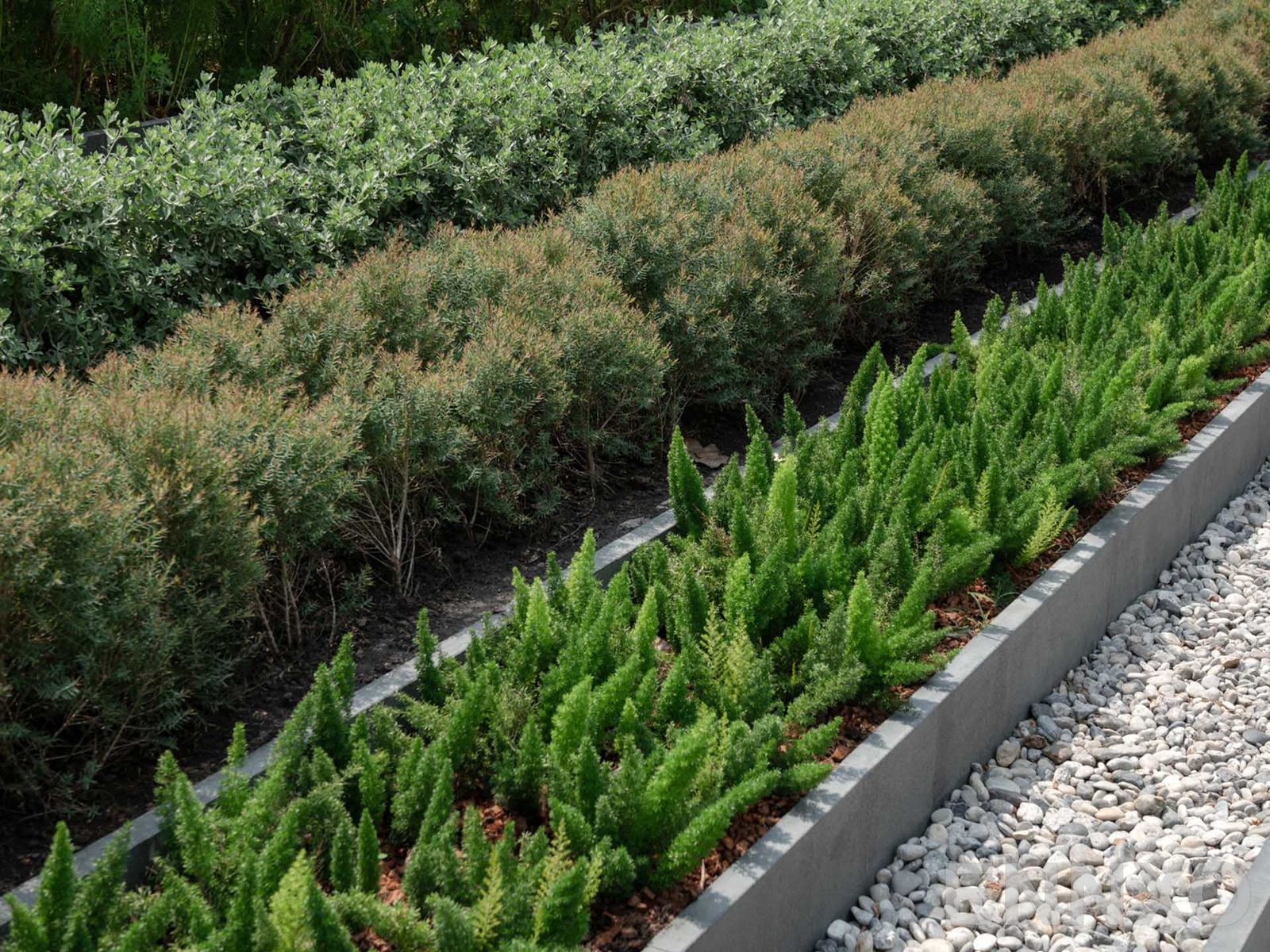 รูป สิ่งอำนวยความสะดวก ของ ควินน์ คอนโด - รูปที่ 26