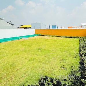 รูปของโครงการ Regal Onnut - Srinakarin
(รีเกิล อ่อนนุช - ศรีนครินทร์) อื่นๆ - รูปที่ 13