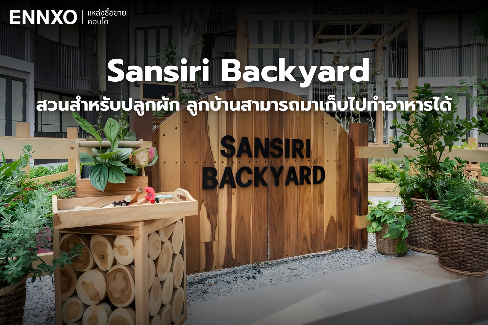 พื้นที่ปลูกผัก Kawa Haus