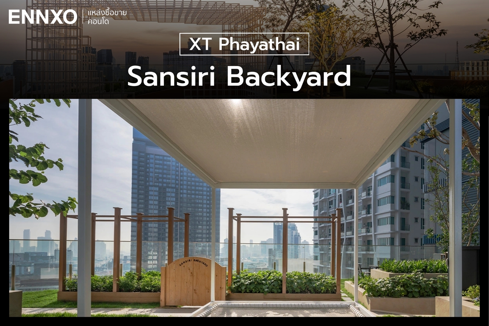 พื้นที่ปลูกผักของ XT Phayathai