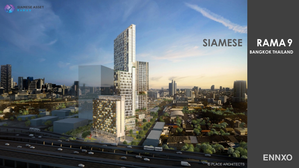 รูป ของ Siamese Rama 9 - รูปที่ 1