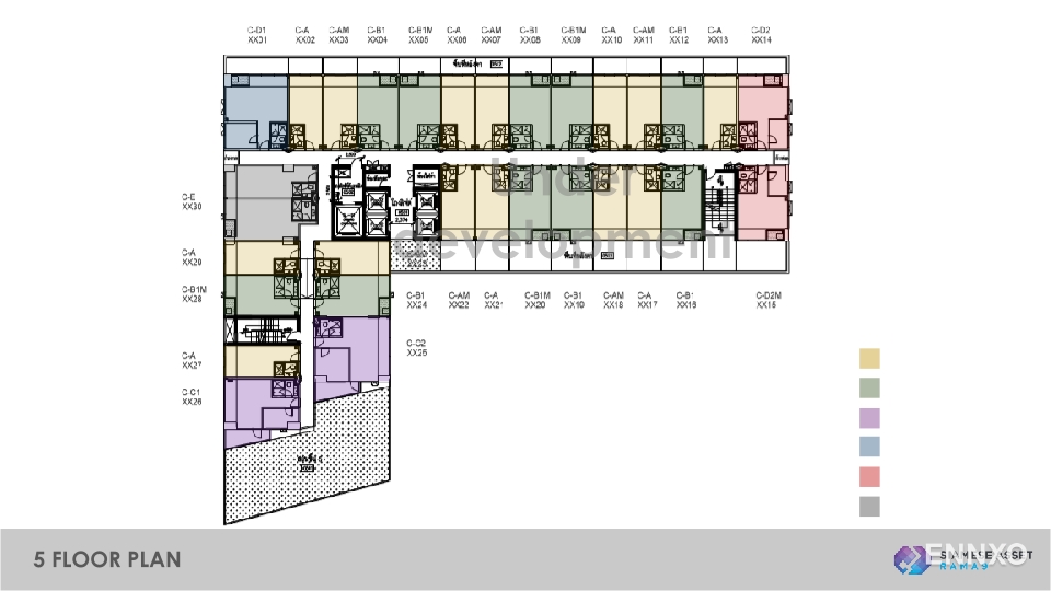 รูป ของ Siamese Rama 9 - รูปที่ 4