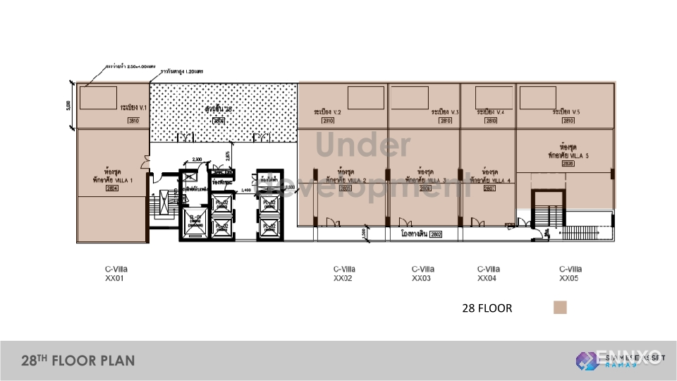 รูป ของ Siamese Rama 9 - รูปที่ 6