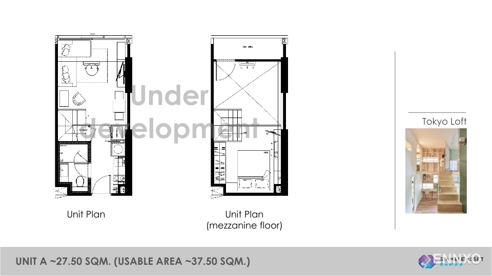 รูป ของ Siamese Rama 9 - รูปที่ 10