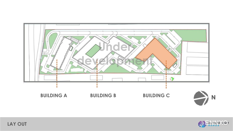 รูป ของ Siamese Rama 9 - รูปที่ 2