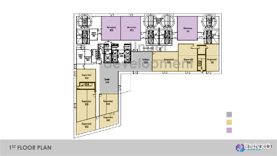 รูป ของ Siamese Rama 9 - รูปที่ 3