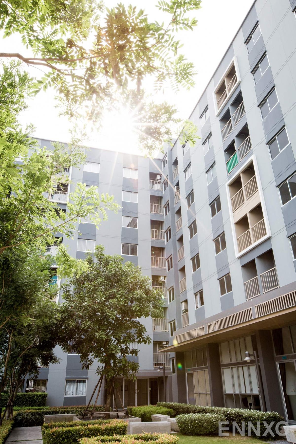 รูปของโครงการ The Point Condo Rungsit - Klong 6
(เดอะ พอยต์ คอนโด รังสิต - คลอง 6) อื่นๆ - รูปที่ 3