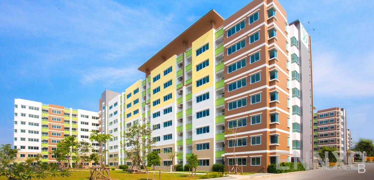 รูปของโครงการ เดอะ ไรซ์ บี อื่นๆ - รูปที่ 3