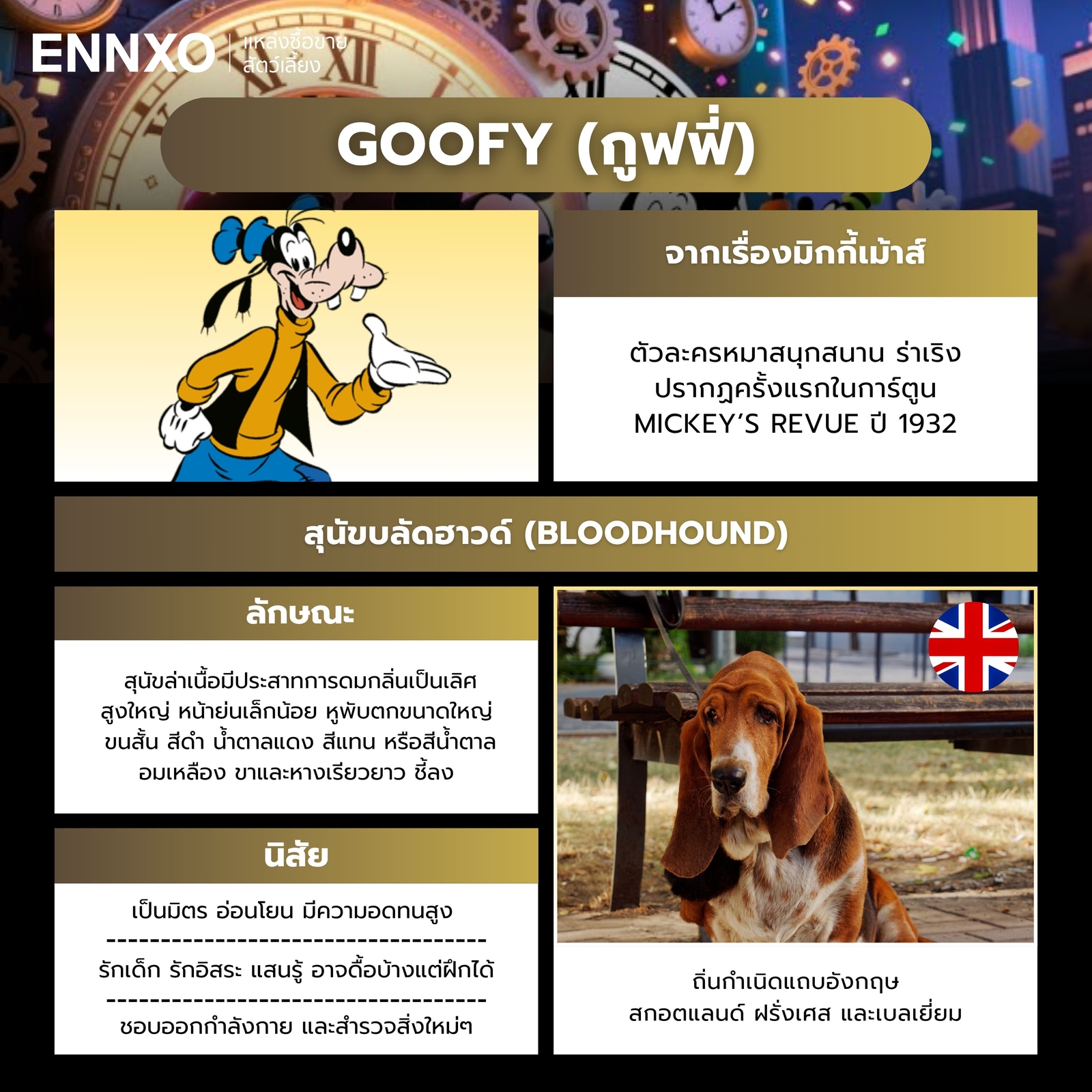 กูฟฟี่คือตัวอะไร