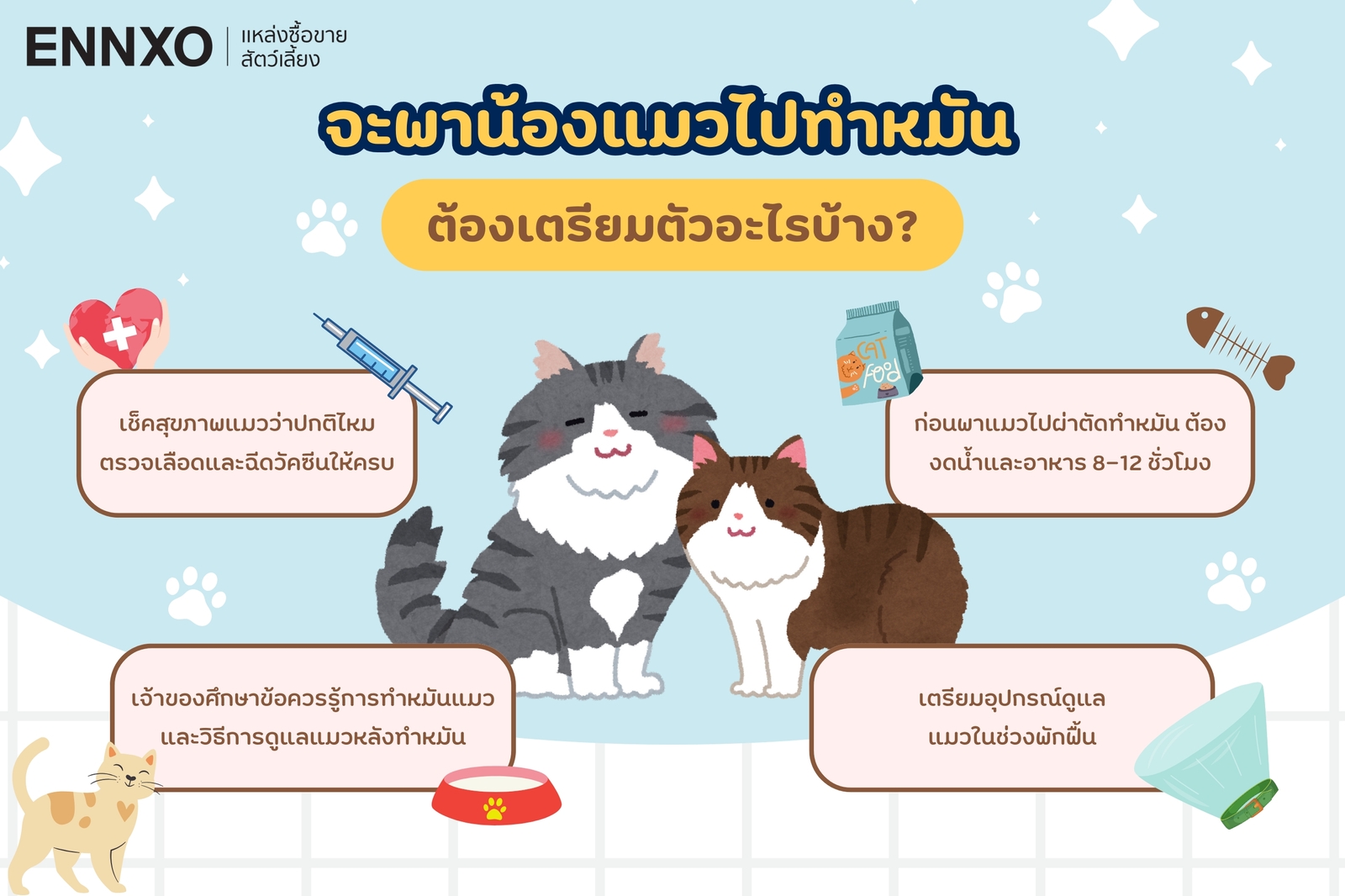 ข้อควรรู้เกี่ยวกับทำหมันแมว