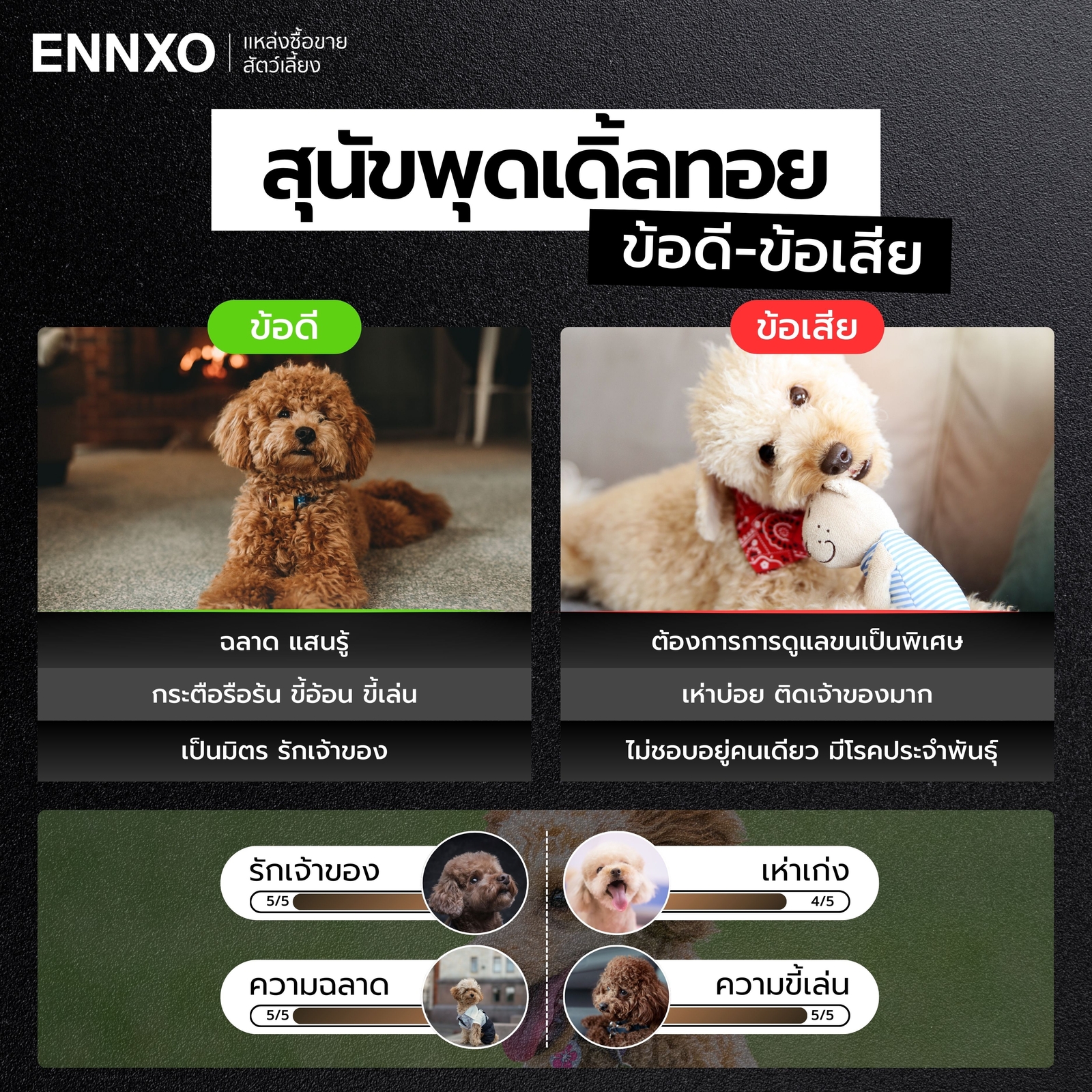 ข้อดี ข้อเสีย ของพุดเดิ้ลทอย