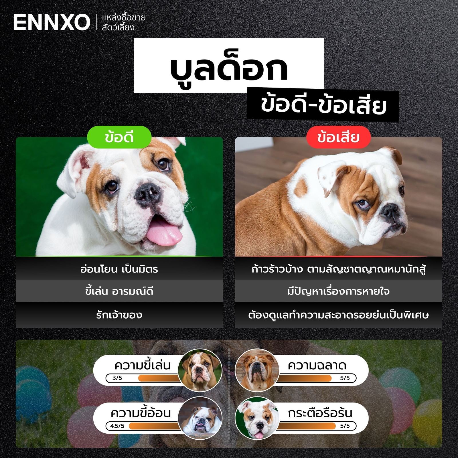 ข้อดี ข้อเสียของสุนัขบูลด็อก