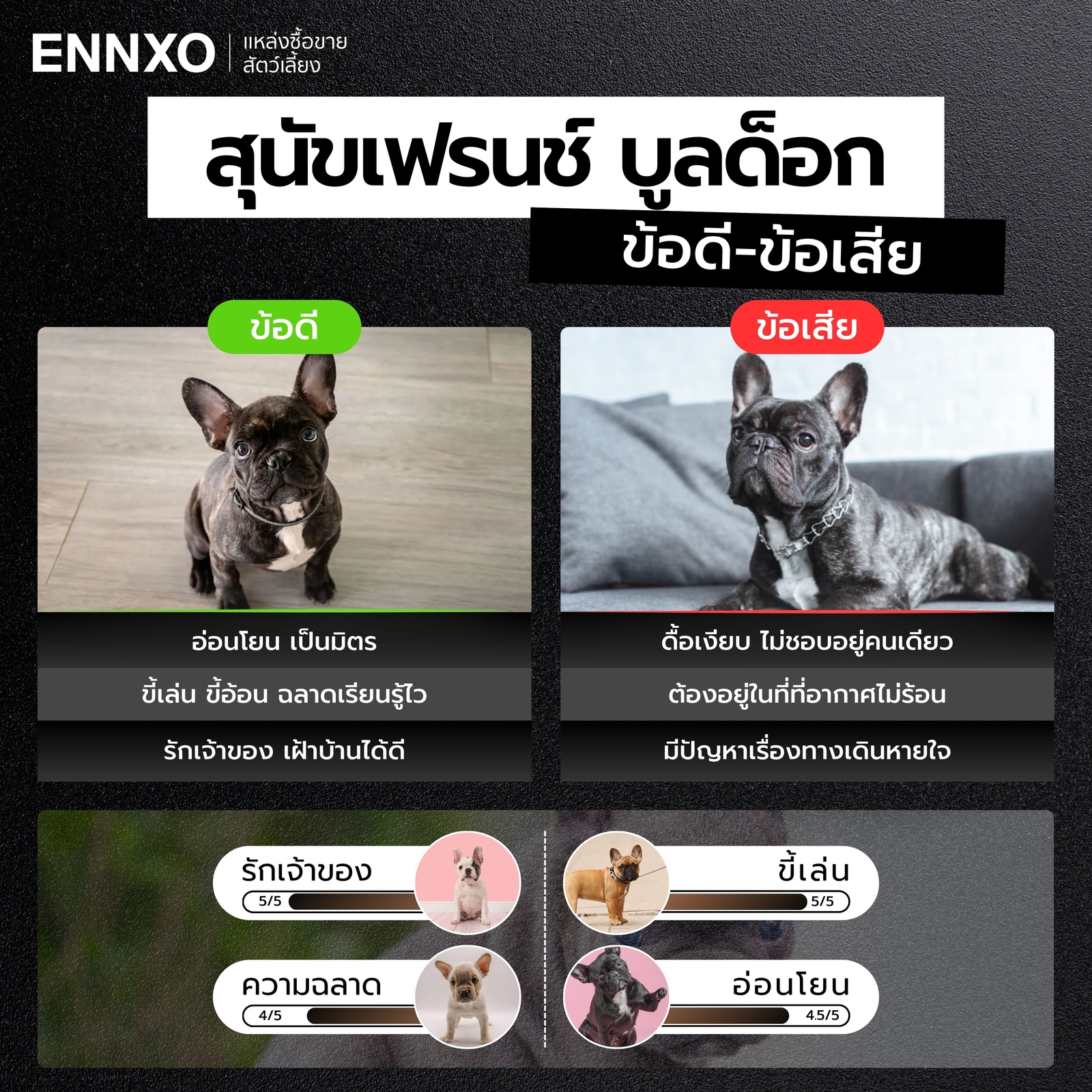 ข้อดี ข้อเสีย ของสุนัขเฟรนช์ บูลด็อก