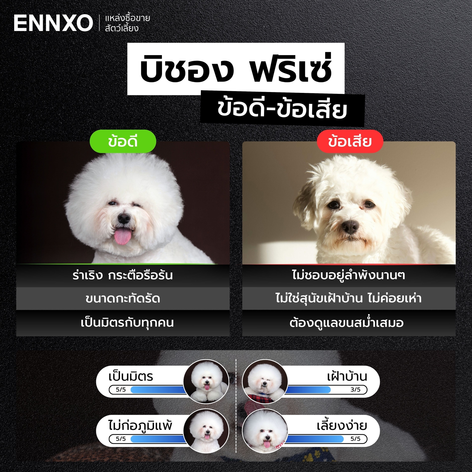 ข้อดี-ข้อเสียของบิชอง-ฟริเซ่