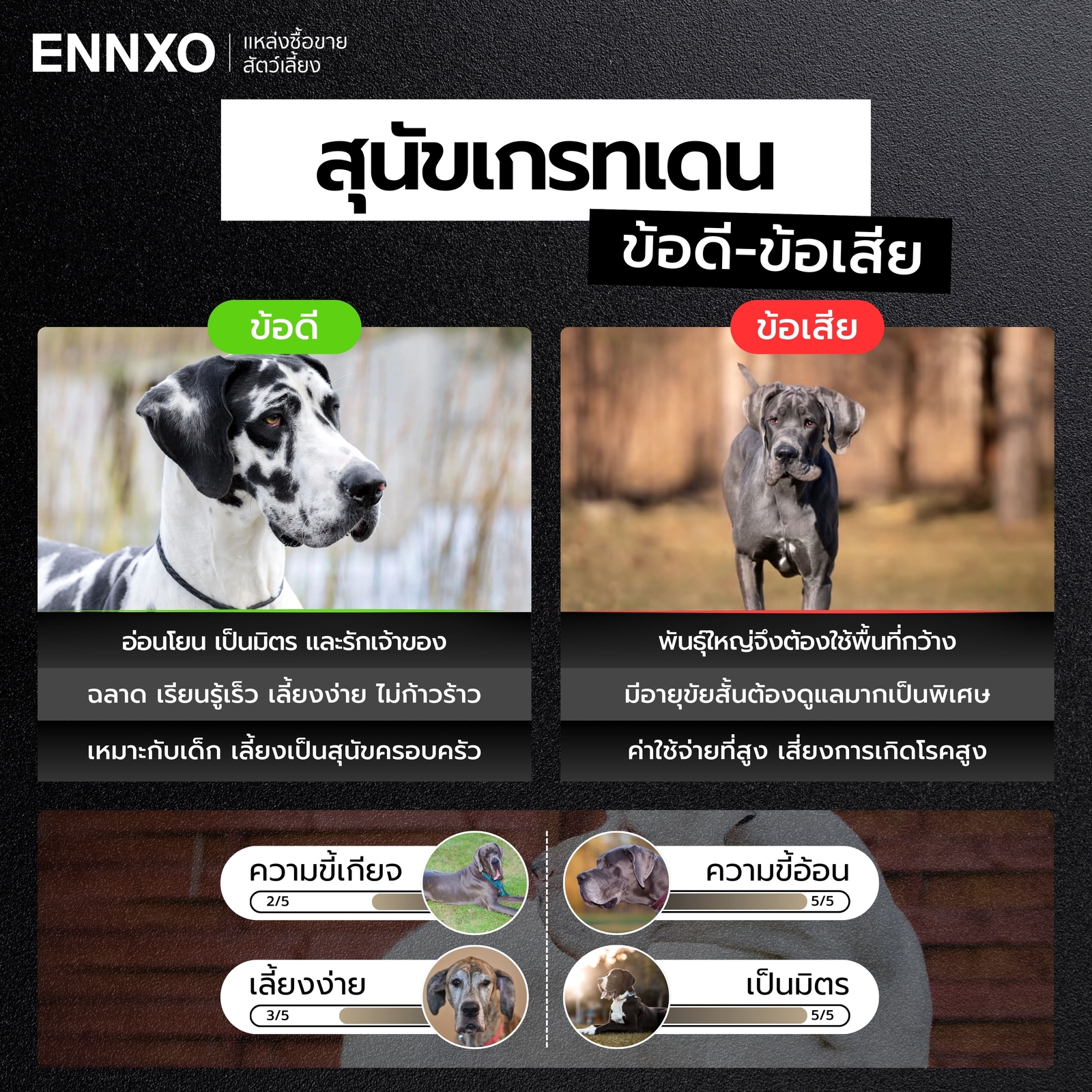 ข้อดี-ข้อเสียของสุนัขเกรทเดน